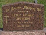 image of grave number 891669